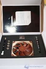 Noctua NH-L9i19